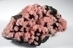 Rhodochrosite on Sphalerite from Eagle Mine, [1700 level], Gilman, Gilman District (Battle Mountain District; Red Cliff District), Eagle Co., Colorado, United States [432]